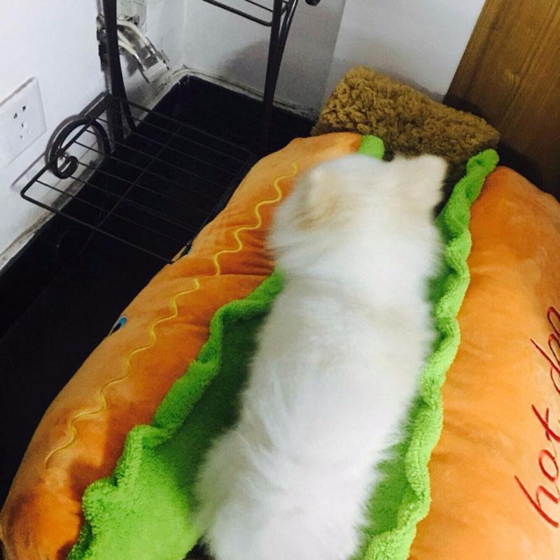 Cama para Pets - Hot Dog - MAPPEI